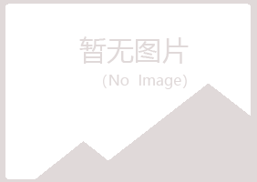 大同紫山水泥有限公司